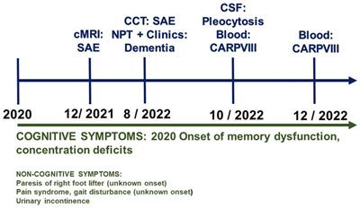 Case report: Anti-CARPVIII autoantibody-associated mixed dementia